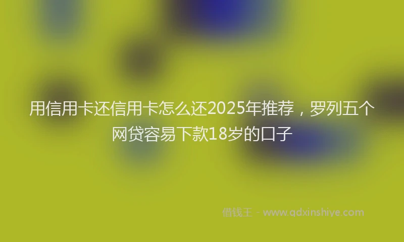 用信用卡还信用卡怎么还2025年推荐，罗列五个网贷容易下款18岁的口子