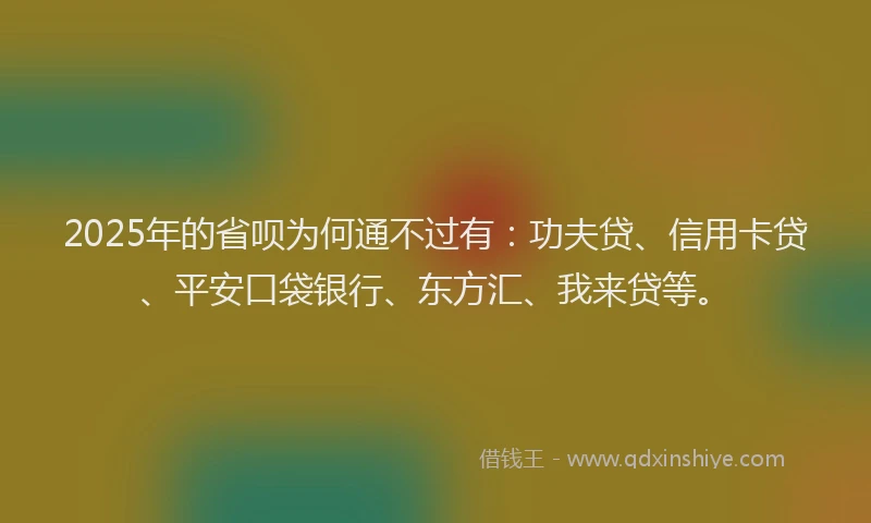 2025年的省呗为何通不过有：功夫贷、信用卡贷、平安口袋银行、东方汇、我来贷等。