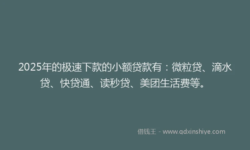 2025年的极速下款的小额贷款有：微粒贷、滴水贷、快贷通、读秒贷、美团生活费等。