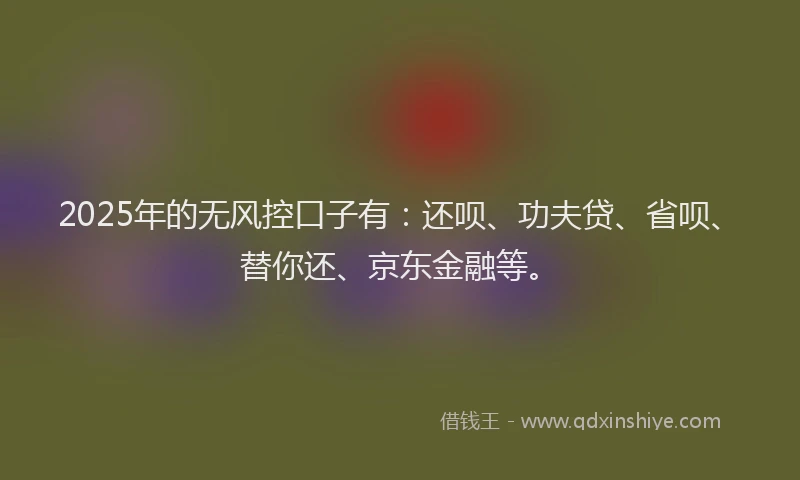 2025年的无风控口子有：还呗、功夫贷、省呗、替你还、京东金融等。