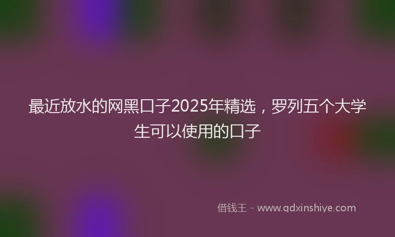 最近放水的网黑口子2025年精选，罗列五个大学生可以使用的口子