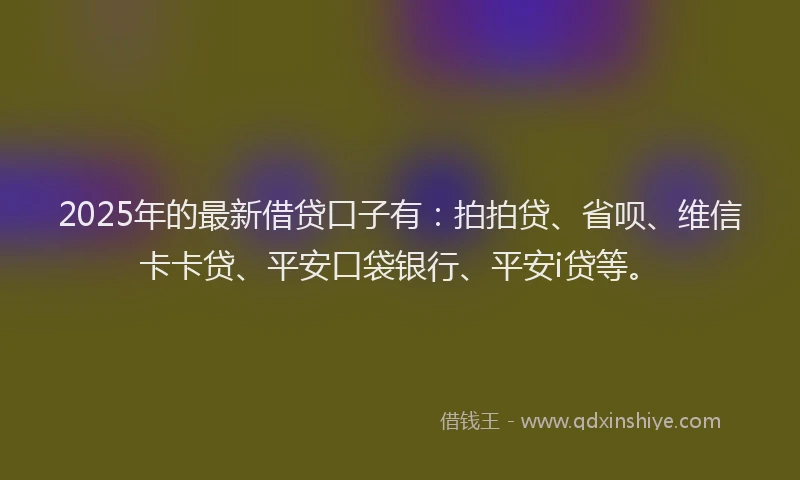 2025年的最新借贷口子有：拍拍贷、省呗、维信卡卡贷、平安口袋银行、平安i贷等。