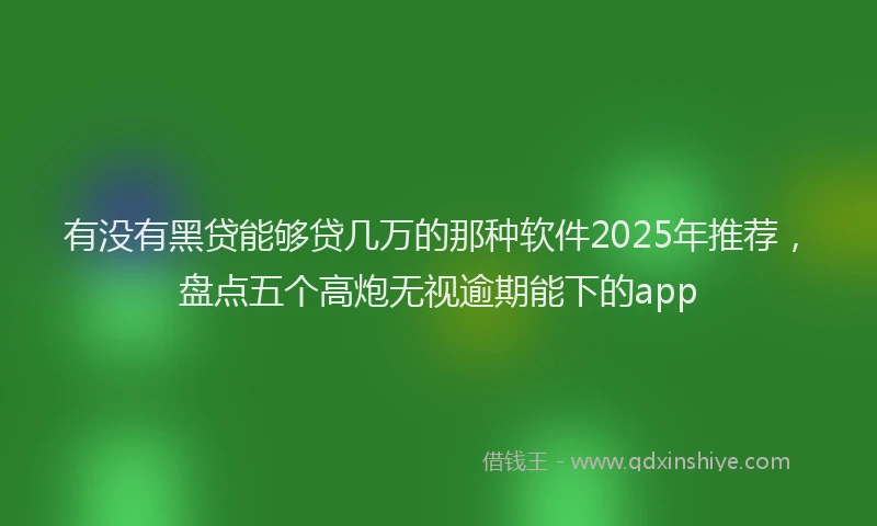 有没有黑贷能够贷几万的那种软件2025年推荐，盘点五个高炮无视逾期能下的app