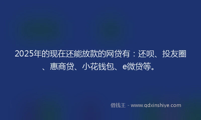 2025年的现在还能放款的网贷有：还呗、投友圈、惠商贷、小花钱包、e微贷等。