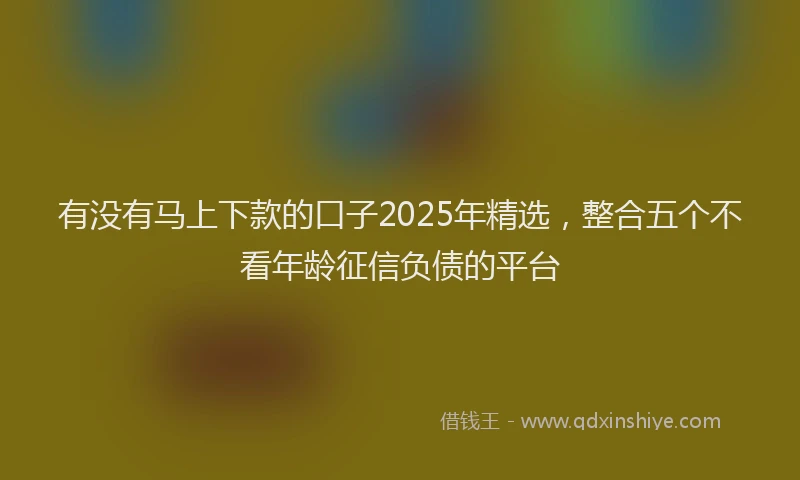 有没有马上下款的口子2025年精选，整合五个不看年龄征信负债的平台