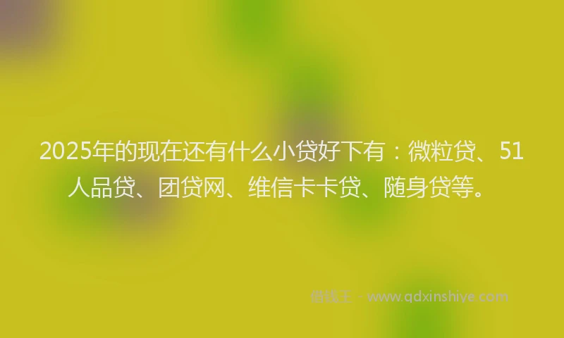 2025年的现在还有什么小贷好下有：微粒贷、51人品贷、团贷网、维信卡卡贷、随身贷等。