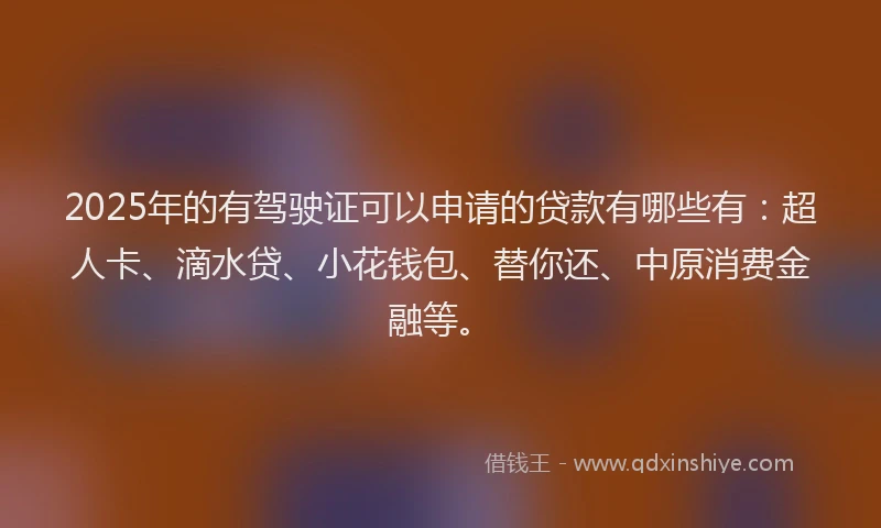 2025年的有驾驶证可以申请的贷款有哪些有：超人卡、滴水贷、小花钱包、替你还、中原消费金融等。