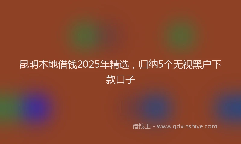 昆明本地借钱2025年精选，归纳5个无视黑户下款口子