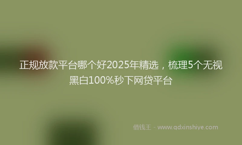 正规放款平台哪个好2025年精选，梳理5个无视黑白100%秒下网贷平台