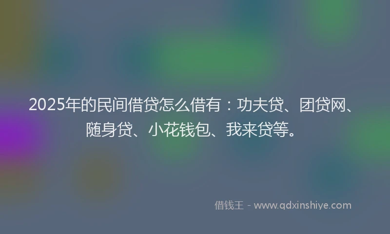 2025年的民间借贷怎么借有：功夫贷、团贷网、随身贷、小花钱包、我来贷等。