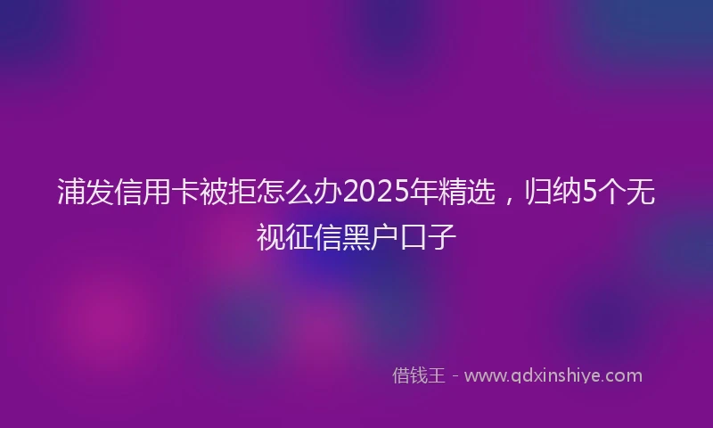 浦发信用卡被拒怎么办2025年精选，归纳5个无视征信黑户口子