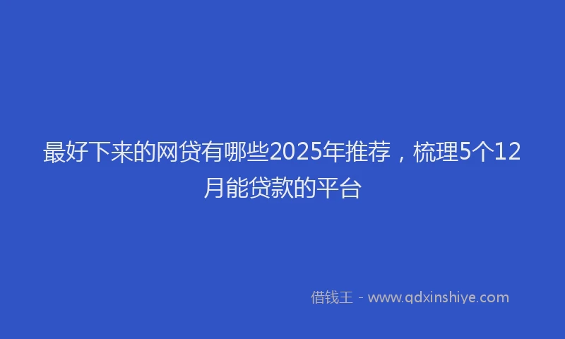 最好下来的网贷有哪些2025年推荐，梳理5个12月能贷款的平台