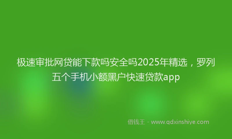 极速审批网贷能下款吗安全吗2025年精选，罗列五个手机小额黑户快速贷款app