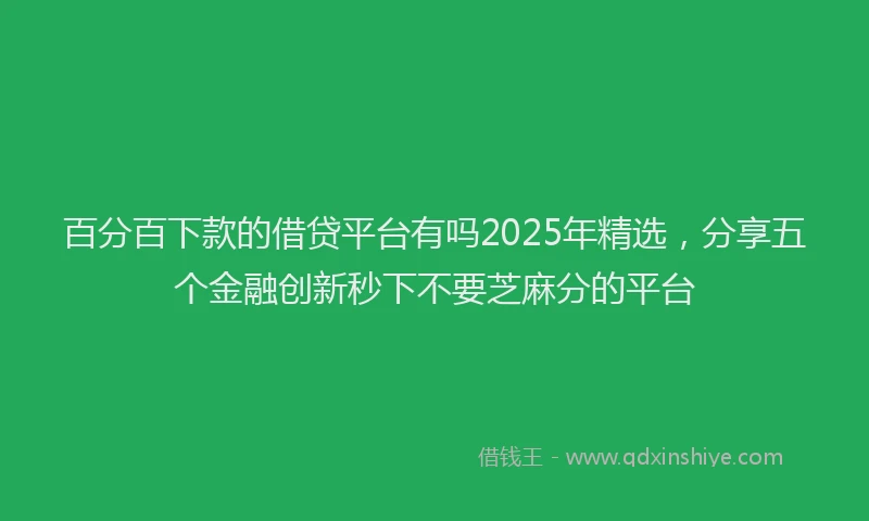 百分百下款的借贷平台有吗2025年精选，分享五个金融创新秒下不要芝麻分的平台