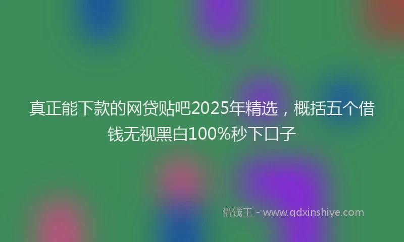 真正能下款的网贷贴吧2025年精选，概括五个借钱无视黑白100%秒下口子