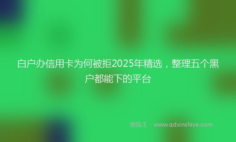 白户办信用卡为何被拒2025年精选，整理五个黑户都能下的平台