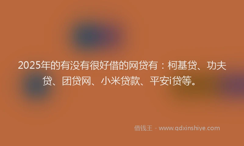 2025年的有没有很好借的网贷有：柯基贷、功夫贷、团贷网、小米贷款、平安i贷等。