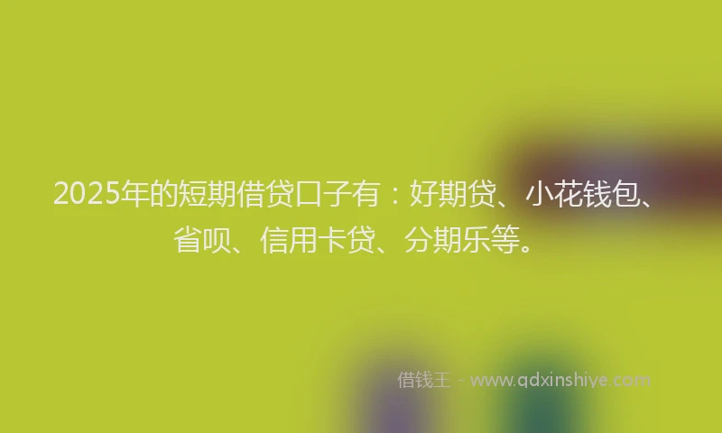 2025年的短期借贷口子有：好期贷、小花钱包、省呗、信用卡贷、分期乐等。