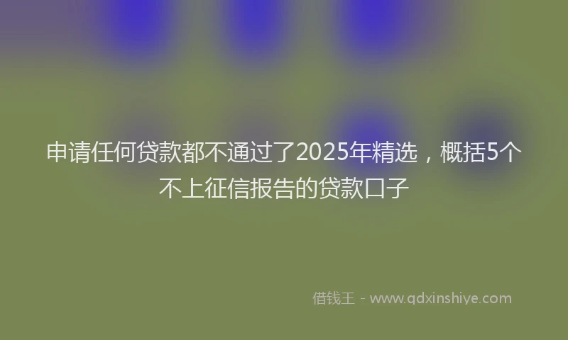申请任何贷款都不通过了2025年精选，概括5个不上征信报告的贷款口子