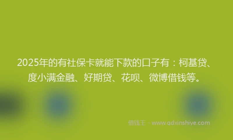 2025年的有社保卡就能下款的口子有：柯基贷、度小满金融、好期贷、花呗、微博借钱等。