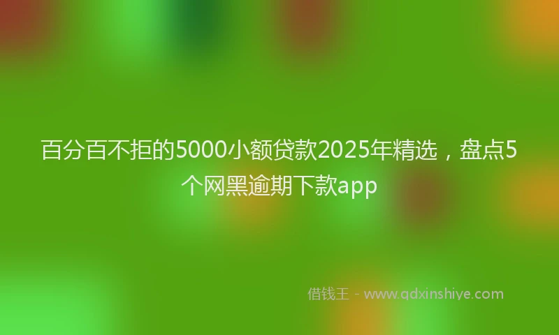 百分百不拒的5000小额贷款2025年精选，盘点5个网黑逾期下款app