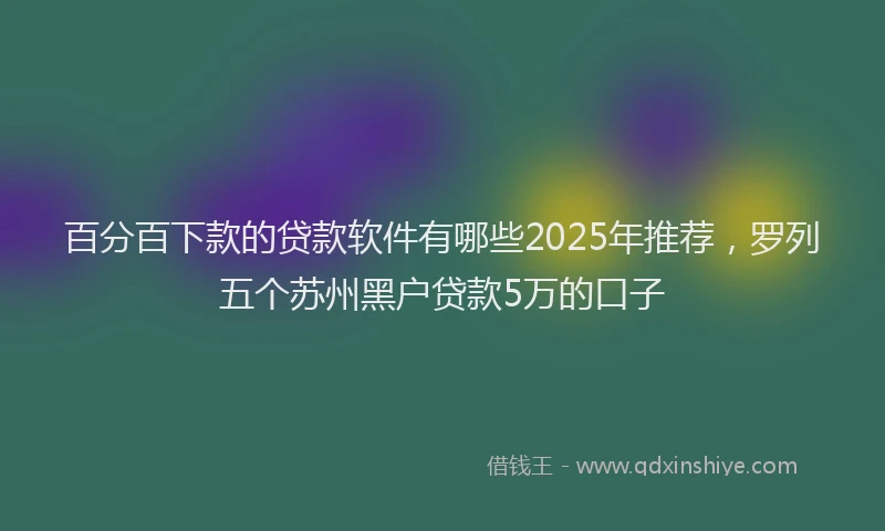 百分百下款的贷款软件有哪些2025年推荐，罗列五个苏州黑户贷款5万的口子