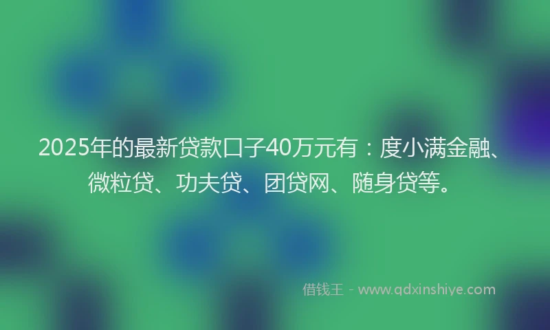 2025年的最新贷款口子40万元有：度小满金融、微粒贷、功夫贷、团贷网、随身贷等。