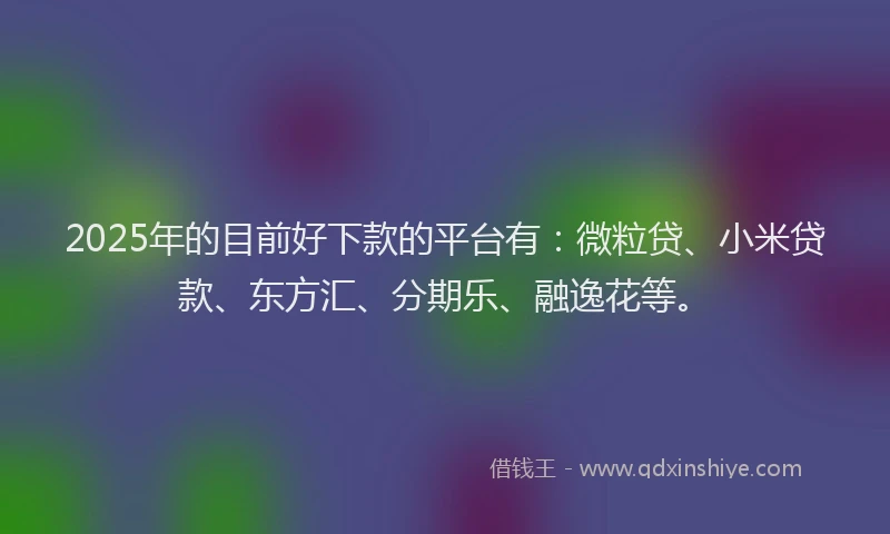 2025年的目前好下款的平台有：微粒贷、小米贷款、东方汇、分期乐、融逸花等。