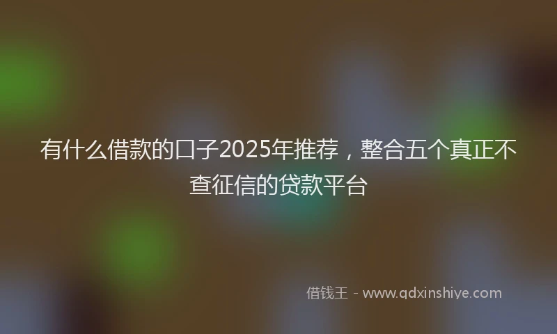 有什么借款的口子2025年推荐，整合五个真正不查征信的贷款平台