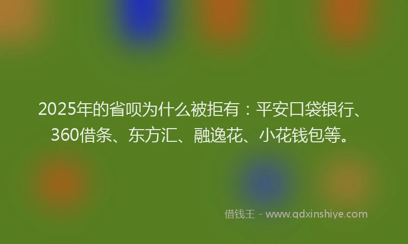 2025年的省呗为什么被拒有：平安口袋银行、360借条、东方汇、融逸花、小花钱包等。