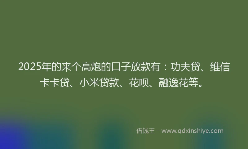 2025年的来个高炮的口子放款有：功夫贷、维信卡卡贷、小米贷款、花呗、融逸花等。
