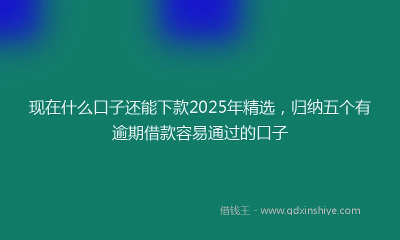 现在什么口子还能下款2025年精选，归纳五个有逾期借款容易通过的口子