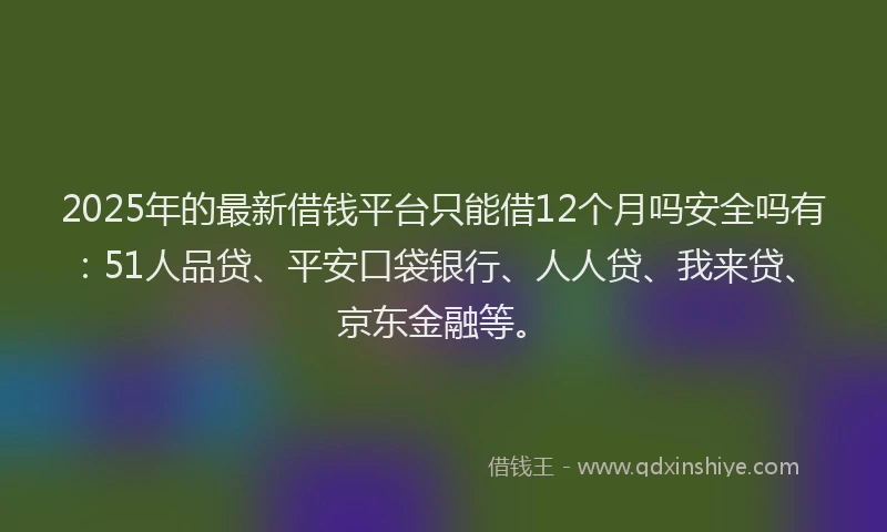 2025年的最新借钱平台只能借12个月吗安全吗有：51人品贷、平安口袋银行、人人贷、我来贷、京东金融等。
