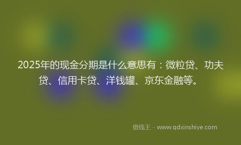 2025年的现金分期是什么意思有：微粒贷、功夫贷、信用卡贷、洋钱罐、京东金融等。