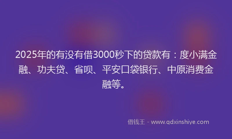 2025年的有没有借3000秒下的贷款有：度小满金融、功夫贷、省呗、平安口袋银行、中原消费金融等。
