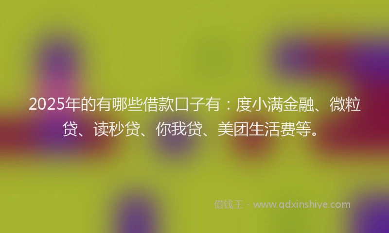 2025年的有哪些借款口子有：度小满金融、微粒贷、读秒贷、你我贷、美团生活费等。