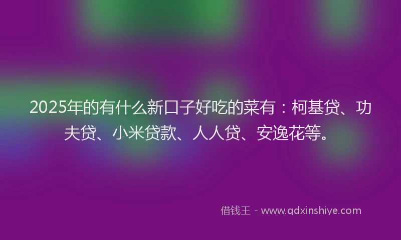 2025年的有什么新口子好吃的菜有：柯基贷、功夫贷、小米贷款、人人贷、安逸花等。
