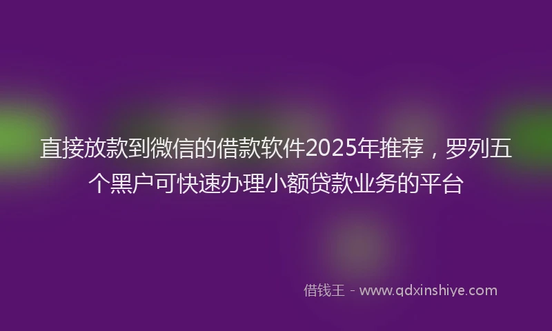 直接放款到微信的借款软件2025年推荐，罗列五个黑户可快速办理小额贷款业务的平台