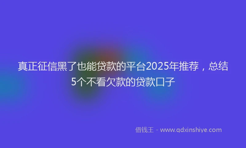 真正征信黑了也能贷款的平台2025年推荐，总结5个不看欠款的贷款口子
