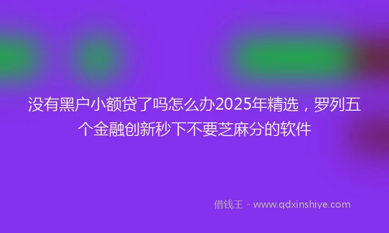 没有黑户小额贷了吗怎么办2025年精选，罗列五个金融创新秒下不要芝麻分的软件