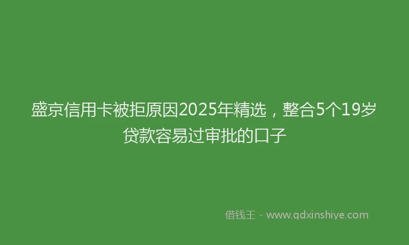 盛京信用卡被拒原因2025年精选，整合5个19岁贷款容易过审批的口子