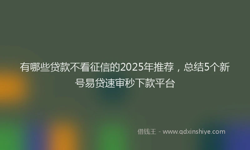 有哪些贷款不看征信的2025年推荐，总结5个新号易贷速审秒下款平台