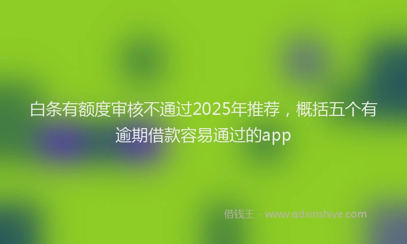 白条有额度审核不通过2025年推荐，概括五个有逾期借款容易通过的app