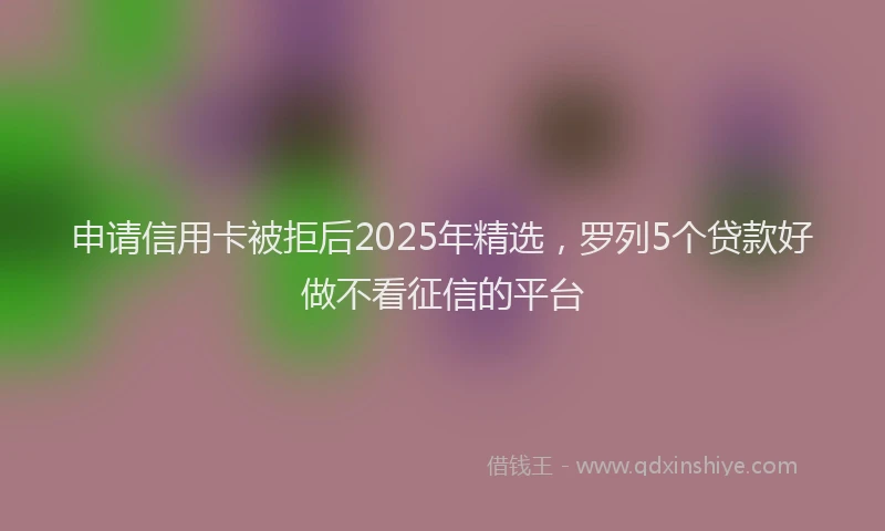 申请信用卡被拒后2025年精选，罗列5个贷款好做不看征信的平台