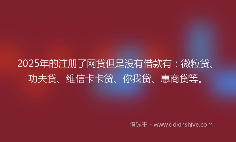 2025年的注册了网贷但是没有借款有：微粒贷、功夫贷、维信卡卡贷、你我贷、惠商贷等。