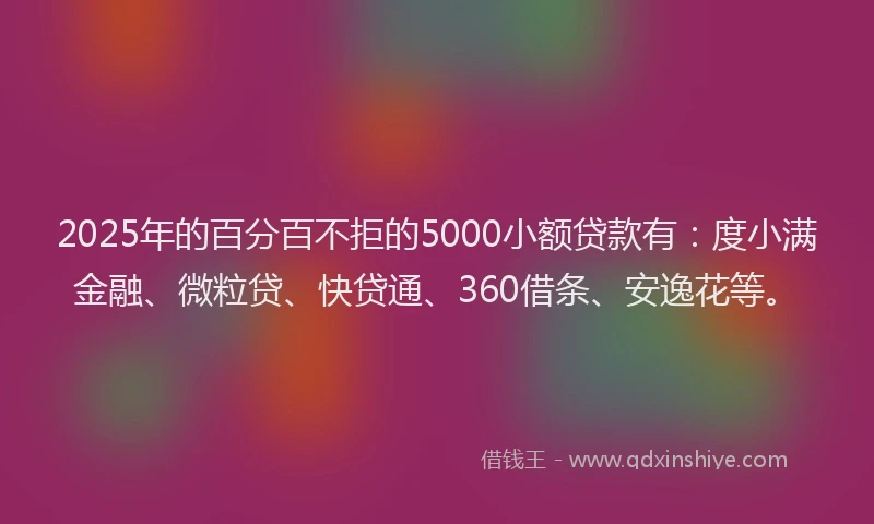 2025年的百分百不拒的5000小额贷款有：度小满金融、微粒贷、快贷通、360借条、安逸花等。