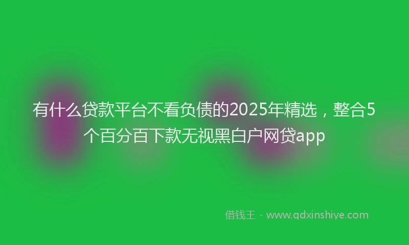 有什么贷款平台不看负债的2025年精选，整合5个百分百下款无视黑白户网贷app