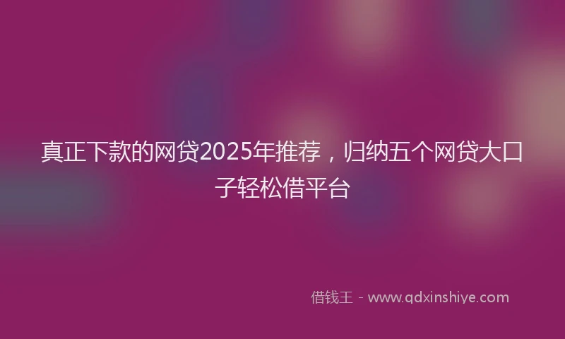 真正下款的网贷2025年推荐，归纳五个网贷大口子轻松借平台