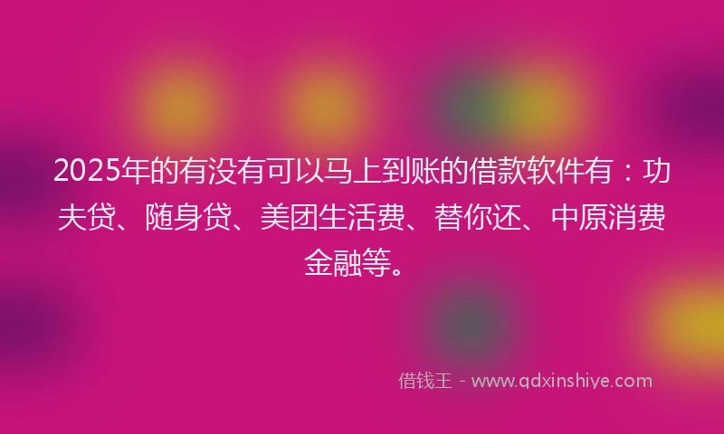 2025年的有没有可以马上到账的借款软件有：功夫贷、随身贷、美团生活费、替你还、中原消费金融等。