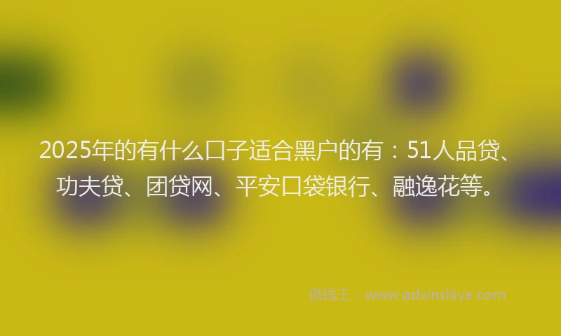 2025年的有什么口子适合黑户的有：51人品贷、功夫贷、团贷网、平安口袋银行、融逸花等。